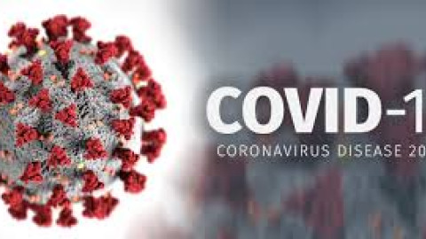 Virus Corona ( Covid - 19 )